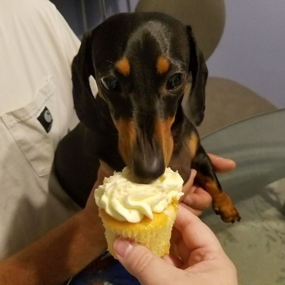 Meet your Posher, Tracy - Picture 1 of 1